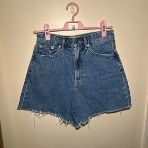 Everlane Blue Jean Shorts